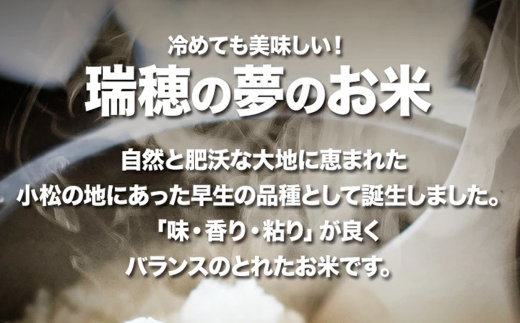 米 こめ お米 玄米【令和６年産】小松産ゆめみづほ 玄米30kg 