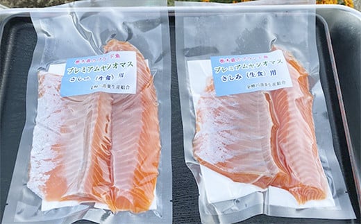 栃木県のブランド魚「プレミアムヤシオマス」の刺身(生食用) 4、5人前｜鮮魚 鱒 [0354]