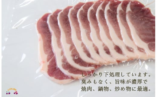 「山猪精肉ししまる」さんでは、下処理にこだわり、臭みがなく美味しいリュウキュウイノシシをお届けします。