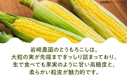 494 とうもろこし 味来 10本入り 約4kg スイートコーン 黄色 先行予約 2024年10月中旬～11月上旬ころ発送予定