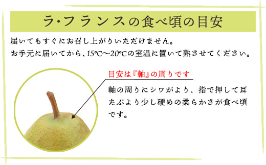 【 令和6年産 】 ラ・フランス 2kg ( 約 5 ～ 6 玉 ) 〔 2024年11月中旬頃 ～ お届け 〕 ラフランス 洋梨 2024年産