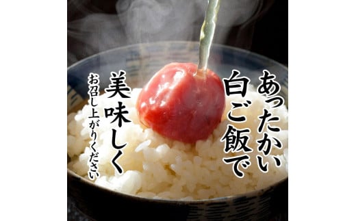 紀州産南高梅 なちゅら しそ漬 400g 塩分9％ A-077a