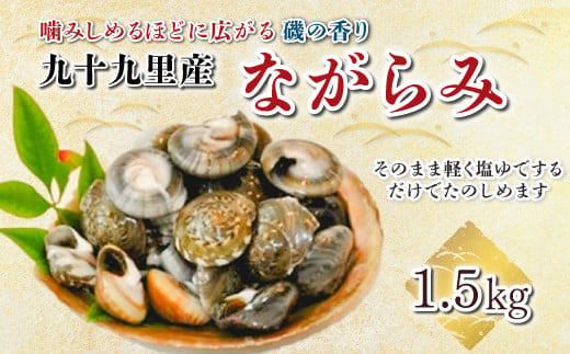 九十九里産 ながらみ 500g×3 計1.5kg ふるさと納税 ながらみ 九十九里産 貝 国産 手土産 千葉県 ひなまつり ひな祭り 雛祭り 雛まつり 節句 送料無料 SHF006