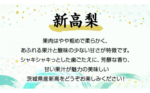 《 先行予約 》 茨城県産 梨 新高 （ 約5kg ） 【 2024年8月末頃発送予定】 にいたか ニイタカ フルーツ 果物 なし ナシ 旬 新鮮 旬 期間限定 国産