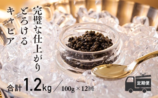 【定期便 12ヶ月】THE・CAVIAR（ザ・キャビア）100g TF0498-P00066