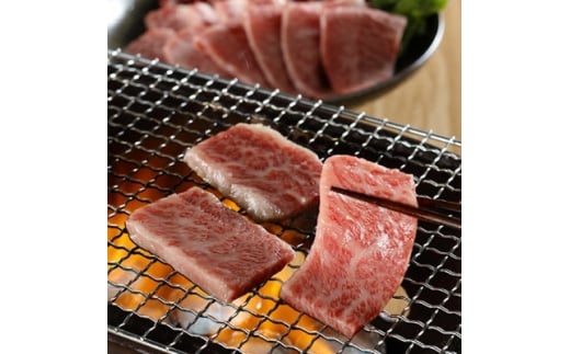 神戸牛　霜降り焼肉　600g【1441913】