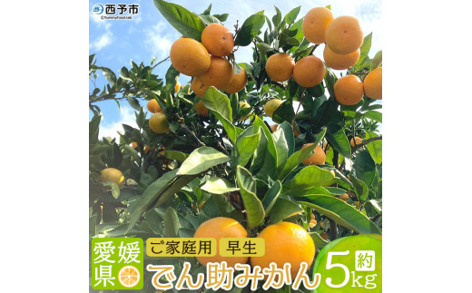 愛媛県西宇和産　でん助みかん（早生） ５kg　ご家庭用