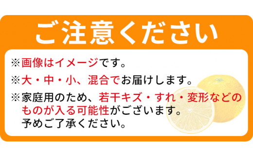 愛媛県西宇和産　でん助みかん（早生） ５kg　ご家庭用