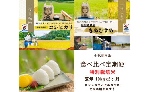  【新米予約】 定期便 コシヒカリ きぬむすめ 食べ比べ 玄米 各10kg × 2ヶ月  ( 令和6年産 先行予約 新米 玄米 10kg 20kg 2回 2品種 お米 おこめ ごはん 米 特別栽培米 ブランド米 ライス こだわり米 ギフト 国産 縁起の竜王米 滋賀県竜王町 )