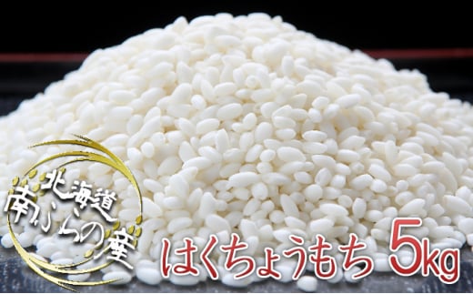 ふらの産精米もち米【はくちょうもち】5kg（1kg×5袋） 北海道 南富良野町 もち米 はくちょうもち お米 米