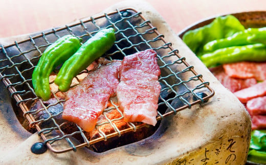 【3ヶ月定期便】肥後のあか牛 焼肉 約500g×3回 合計 約1.5kg