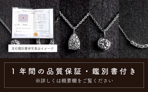 ダイヤ ダイヤモンド ネックレス 0.12ct ジュエリー アクセサリー ペンダント 宝石 プラチナ ギフト プレゼント 贈り物 記念日 お祝い 誕生日 人気 高級 山梨県 西桂町