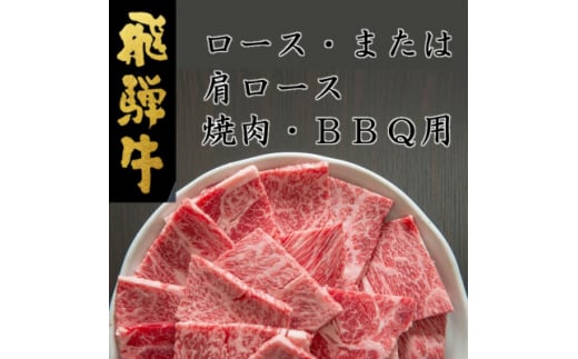 飛騨牛ロースまたは肩ロース600g (焼肉・BBQ用)【1042664】