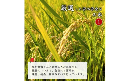 近江ブレンド米 10kg お米 白米 おいしい お米 こめ おこめ 白米 精米 国産 ごはん ご飯 白飯 米 おこめ 白米 精米ゴハン ランキング 人気 コスパ おすすめ 小分け 便利 ブランド米 お米 米 精米 白米 人気 こだわり 中川吉兵衛商店 A-G17