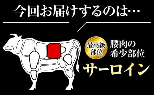 黒毛和牛 特選 サーロイン 1kg すき焼き しゃぶしゃぶ スライス 1kg 計 2kg エムエスエイ (株)《30日以内に出荷予定(土日祝除く)》大阪府 羽曳野市 送料無料 牛肉 牛 和牛 すき焼き用 しゃぶしゃぶ用 ステーキ サーロインステーキ