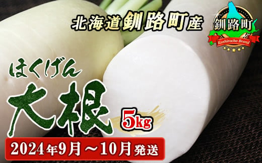 野菜王国 釧路町産 【ほくげん大根】5kg ＜2024年9月～10月発送＞ 国産 産地直送 旬 季節の野菜 詰め合わせ セット 北海道 釧路町 釧路超 特産品