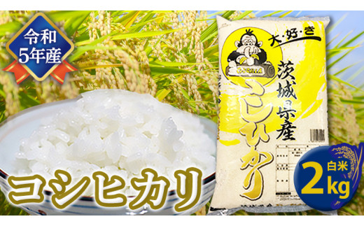 【令和5年産】 コシヒカリ 白米 2kg こしひかり 米 お米 コメ おいしい 茨城県産 精米 国産 甘い あまい 新生活 プレゼント 新生活応援 必要なもの 便利 おすすめ 消耗品 一人暮らし 二人暮らし 必要