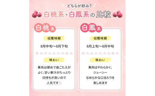 志賀高原の麓で育った 桃（白鳳系）特秀18玉 約５kg 【 桃 もも 白鳳 フルーツ フ旬 果物 デザート 長野県 長野 】