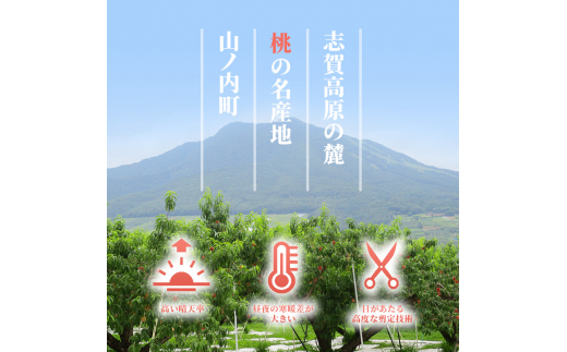 志賀高原の麓で育った 桃（白鳳系）特秀18玉 約５kg 【 桃 もも 白鳳 フルーツ フ旬 果物 デザート 長野県 長野 】