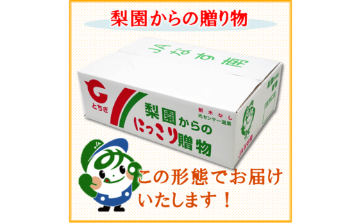 13-2【期間限定】梨（にっこり）秀　約5kg（7玉程度） ｜ なし フルーツ 果物 新鮮 デザート ※2024年10月中旬頃より順次発送予定