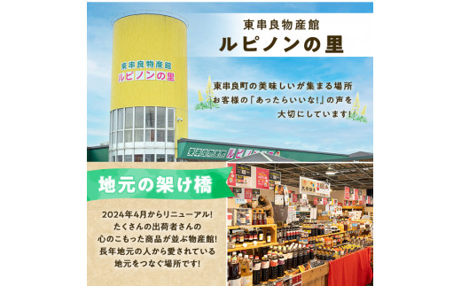 【0125903a】12月11日までのご入金で年内発送！東串良物産館 秘伝の手作りレシピ 焼肉のたれ(400g×3本) 焼き肉のたれ 焼肉 タレ 野菜炒め 調味料 万能調味料【東串良物産館ルピノンの里】