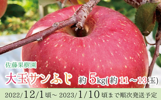 [No.5657-2434]大玉サンふじ約5kg（約11～13玉）《佐藤果樹園》■2022年～2023年発送■※12月上旬頃～1月上旬頃まで順次発送予定