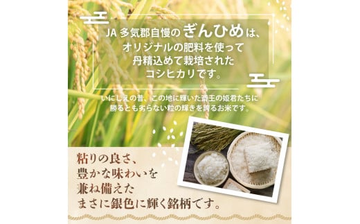 コシヒカリ「ぎんひめ」20㎏ (10㎏×2 ) 多気郡産 米 コメ 精米 白米 10kg 20kg 国産 ごはん 人気 おすすめ こしひかり 三重県 多気町 JA‐09