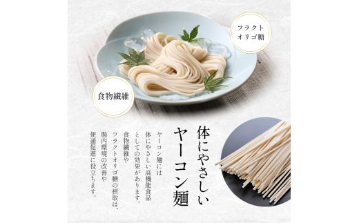 小豆島手延べヤーコン麺 160g×3袋 手延べ そうめん 素麺 小豆島 土庄町 麺 ヤーコン ヤーコンめん