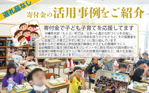 【返礼品なし】沖縄県本部町ふるさと応援寄附金 30000円 寄附のみの応援 寄附のみ 返礼品なし 返礼品無し　御礼品なし　御礼品無し