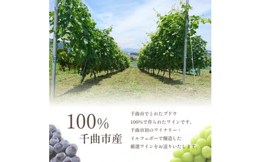 2022 Soleil Merlot ソレイユ メルロ 750ml × 1本 | 飲料 洋酒 お酒 アルコール ドリンク ワイン 赤ワイン 2022 Soleil Merlot ソレイユ メルロ ワイン用 ぶどう 品種  定期 特産品 千曲市 長野県 日本 ワイナリー