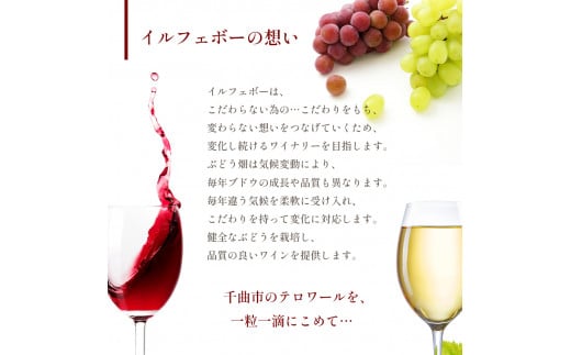 2022 Soleil Merlot ソレイユ メルロ 750ml × 1本 | 飲料 洋酒 お酒 アルコール ドリンク ワイン 赤ワイン 2022 Soleil Merlot ソレイユ メルロ ワイン用 ぶどう 品種  定期 特産品 千曲市 長野県 日本 ワイナリー