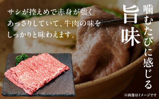 【期間・数量限定】宮崎牛赤身（モモ）スライス500g| 牛肉 肉 ブランド牛 和牛 国産牛 赤身 モモ肉 モモ スライス 焼きしゃぶ しゃぶしゃぶ すき焼き おかず 贈答用 贈答 贈り物 ギフト 記念日 誕生日 内閣総理大臣賞 ミヤチク パーティー お祝い  |_Tk031-016-D