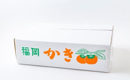 江藤農園 冷蔵富有柿 10玉から12玉 (約3kg) 2024年12月中旬から2025年1月中旬 出荷予定