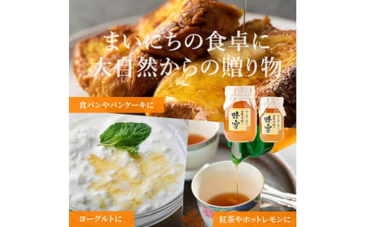 七ツ森の恵 日本ミツバチのはちみつ 600g ハチミツ 蜂蜜 日本蜜蜂 国産 日本ミツバチ 百花蜜【はちみつ屋】ta200