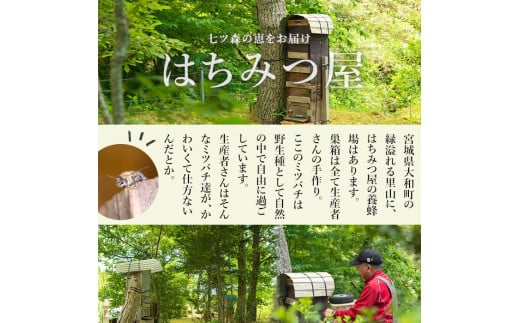 七ツ森の恵 日本ミツバチのはちみつ 600g ハチミツ 蜂蜜 日本蜜蜂 国産 日本ミツバチ 百花蜜【はちみつ屋】ta200