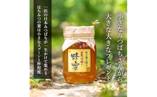 七ツ森の恵 日本ミツバチのはちみつ 600g ハチミツ 蜂蜜 日本蜜蜂 国産 日本ミツバチ 百花蜜【はちみつ屋】ta200