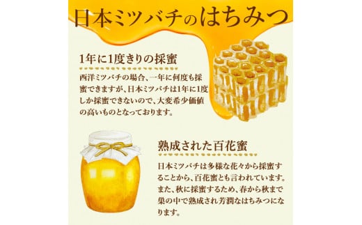 七ツ森の恵 日本ミツバチのはちみつ 600g ハチミツ 蜂蜜 日本蜜蜂 国産 日本ミツバチ 百花蜜【はちみつ屋】ta200