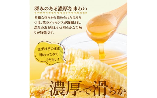 七ツ森の恵 日本ミツバチのはちみつ 600g ハチミツ 蜂蜜 日本蜜蜂 国産 日本ミツバチ 百花蜜【はちみつ屋】ta200