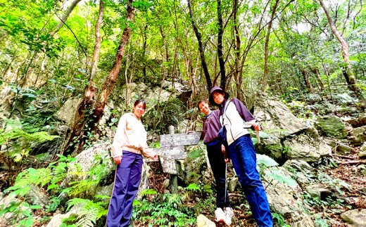 沖縄県北部やんばる・大宜味村最高峰ネクマチヂ岳を登る【2名様】