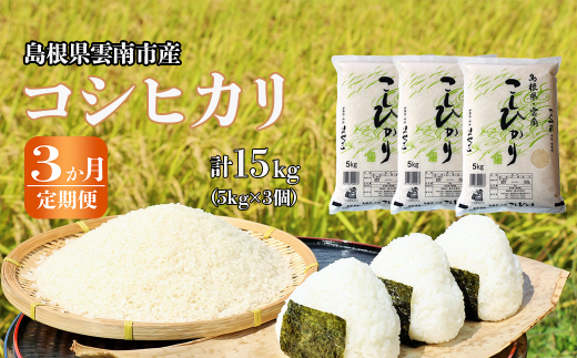 【定期便3か月連続お届け】島根県「雲南産コシヒカリ」15kg（5kg×3）【島根県産 雲南市産 ブランド米 米 お米 白米 コメ こめ おこめ ライス 精米 ふっくら ツヤツヤ 炊き立て 甘い 美味しい 家庭用 ふるさと ご飯 おうちご飯 袋 自然 天然 送料無料 定番 朝食 昼食 夜食】