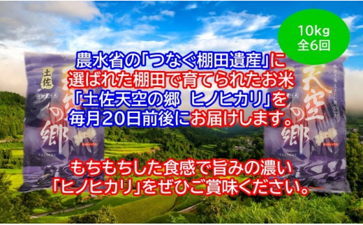 農林水産省の「つなぐ棚田遺産」に選ばれた棚田で育てられた 土佐天空の郷 ヒノヒカリ 10kg 定期便  毎月お届け　全6回