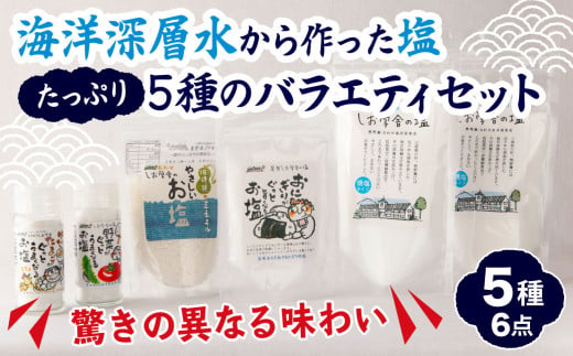 【 海洋深層水 の 塩  】バラエティ セット たっぷり５種（６点）  米 おにぎり 野菜 玉子 など素材の 旨味が引き立つ  調味料 日用品  お弁当 ギフト  贈り物  にも おすすめ 三重県 尾鷲 しお学舎  MO-21