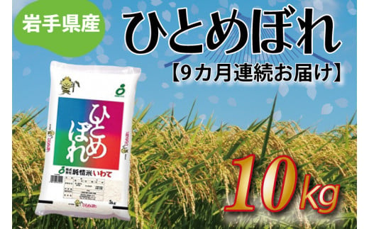 【12ヶ月連続お届け】岩手県産ひとめぼれ10kg