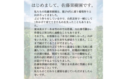 [No.5657-3476]クイーンルージュ®  500g以上 (1房) 《佐藤果樹園》■2025年発送■※9月上旬頃～10月下旬頃まで順次発送予定