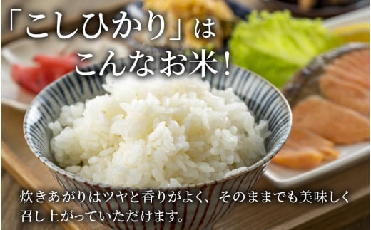 【先行予約】【令和6年産】【有機JAS認証米】南さんちのこしひかり 4kg（2kg×2袋）＜精米＞ 出荷直前に精米 ※2024年9月下旬より順次発送  [A-075001]