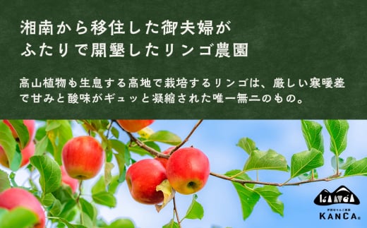 りんごジュース 6本 詰め合わせ セット KANCA アップルジュース フルーツジュース りんご ジュース 果汁 飲料 防災 災害 備蓄 非常用 備蓄用 長期保存 ローリングストック 常温 常温保存 シナノスイート シナノゴールド 秋映 ふじ 長野 長野県　[№5675-1384]