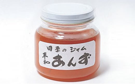 ジャム 長野 四季のジャム あんず 2個 セット 飯島商店 あんずジャム 朝ごはん 朝食 パン フルーツ 果物 デザート スイーツ ギフト プレゼント 贈答 贈り物 調味料 加工食品 アンズジャム アンズ 杏 杏子 長野県 上田市 上田 [№5312-1024]