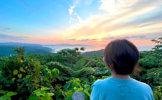 沖縄県北部やんばる・ガジュマルの王様に会いに行こう♪【6名様】