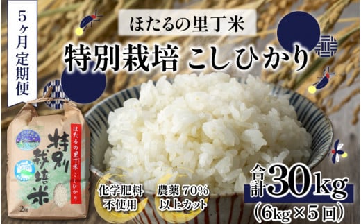 【令和6年産 新米】【5ヶ月定期便】ベストファーマー ほたるの里 特別栽培こしひかり 6kg（2kg×3） × 5回 計30kg 化学肥料不使用 農薬70％以上カット [E-002002]