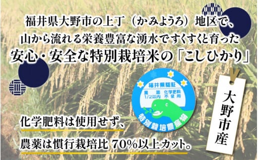 【令和6年産 新米】【5ヶ月定期便】ベストファーマー ほたるの里 特別栽培こしひかり 6kg（2kg×3） × 5回 計30kg 化学肥料不使用 農薬70％以上カット [E-002002]